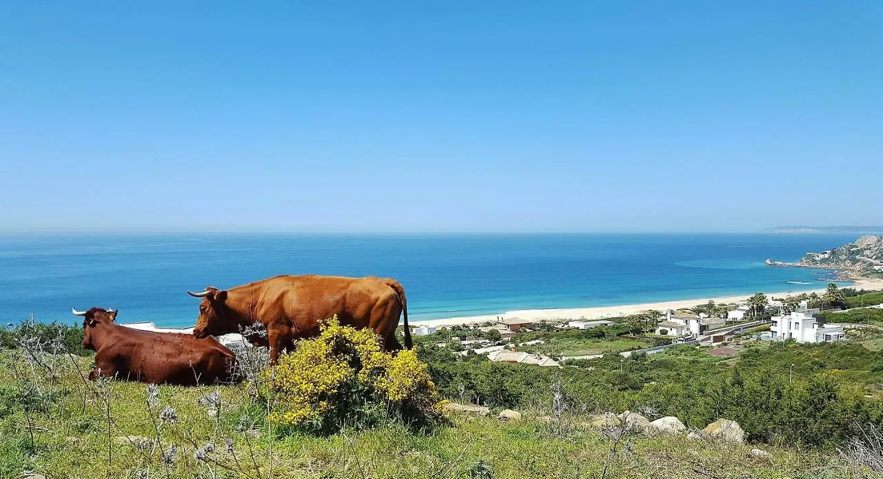 Villa Alkaram De Lujo Con Vistas Panoramicas Al Mar Zahara de los Atunes Espanha